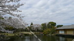 行船公園（平成庭園・源心庵）