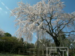 行船公園（平成庭園・源心庵）