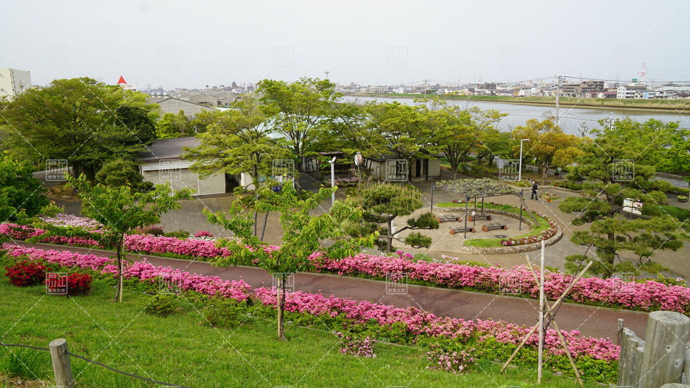 全画面表示