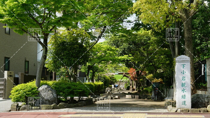 下小岩親水緑道