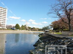 新左近川親水公園