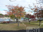 新左近川親水公園