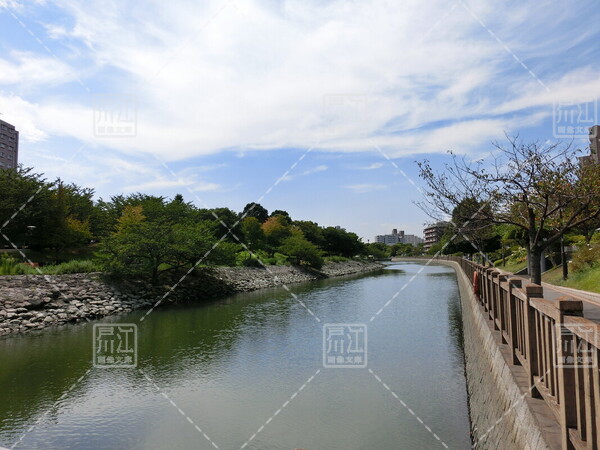 新左近川親水公園