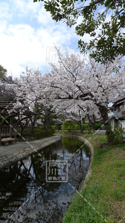 古川親水公園