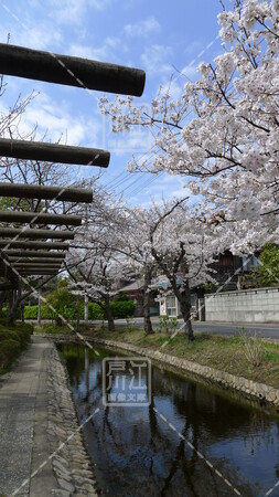 古川親水公園