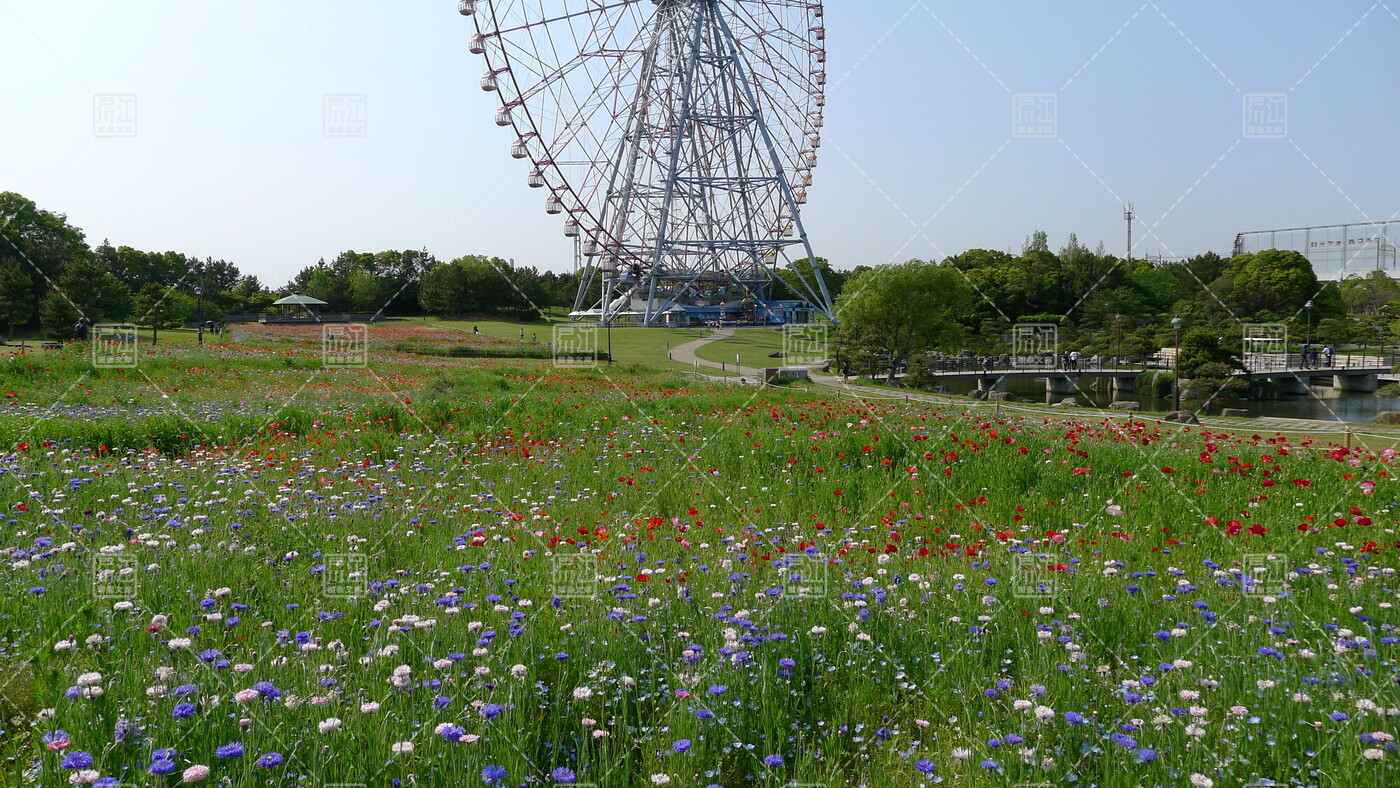 全画面表示