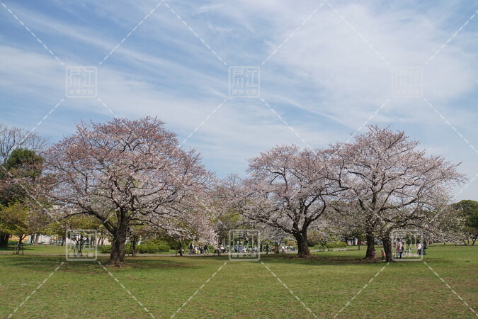 篠崎公園