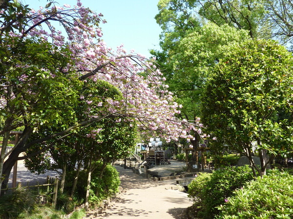 小松川境川親水公園