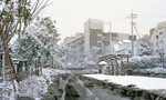 小松川境川親水公園