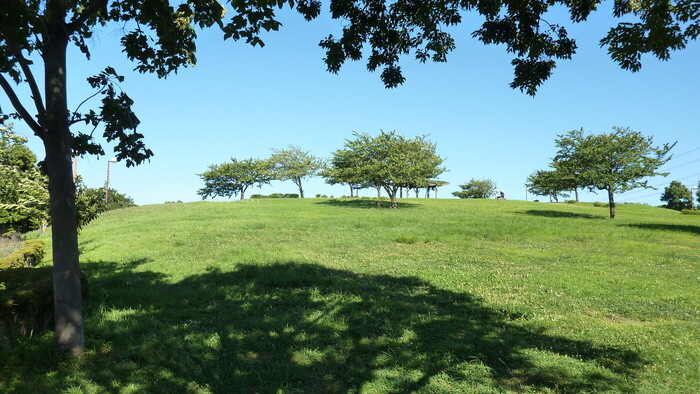 なぎさ公園