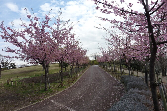 なぎさ公園