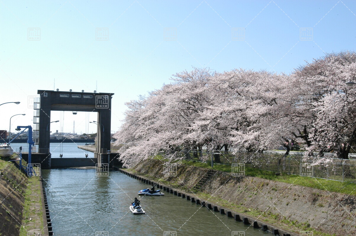 全画面表示