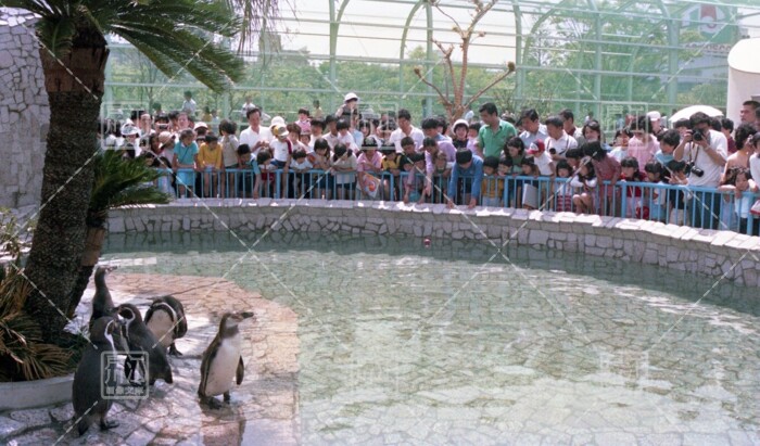 自然動物園オープン
