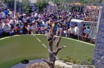 自然動物園　ハナグマ