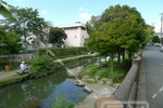 小松川境川親水公園