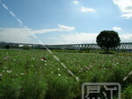 小松川運動公園