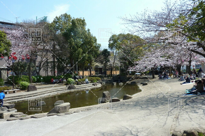 小松川境川親水公園